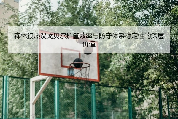 森林狼热议戈贝尔护筐效率与防守体系稳定性的深层价值