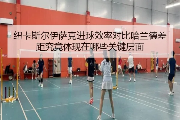 纽卡斯尔伊萨克进球效率对比哈兰德差距究竟体现在哪些关键层面